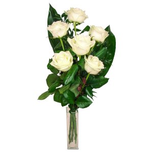 Smuteční bílé růže